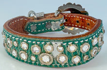 Load image into Gallery viewer, Dog Collar #7226532 (9 1/4 - 11 1/4")