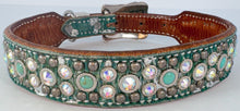 Load image into Gallery viewer, Dog Collar #7226562 (17 - 21")