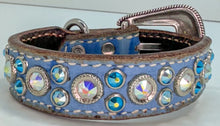Load image into Gallery viewer, Dog Collar #5232024156 (9 1/2" - 11 1/2")