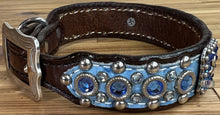 Load image into Gallery viewer, Dog Collar #38179190 (14" - 16")