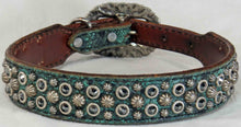Load image into Gallery viewer, Dog Collar #3821243 (10" - 13")