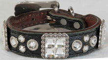 Load image into Gallery viewer, Dog Collar #3821307 (10.5" - 12.5")