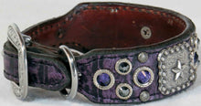 Load image into Gallery viewer, Dog Collar #3821407 (10" - 13")
