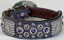 Load image into Gallery viewer, Dog Collar #3821407 (10" - 13")