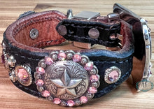 Load image into Gallery viewer, Dog Collar #42125310 (8" - 10")
