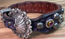Load image into Gallery viewer, Dog Collar #42125314 (10 1/2" - 12 1/2")